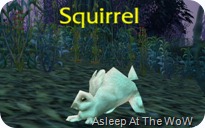 Squabbit_043009_002226
